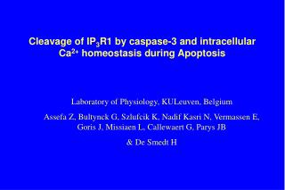 Cleavage of IP 3 R1 by caspase-3 and intracellular Ca 2+ homeostasis during Apoptosis