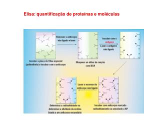 Elisa: quantificação de proteínas e moléculas