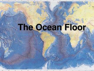 The Ocean Floor