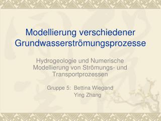 Modellierung verschiedener Grundwasserströmungsprozesse