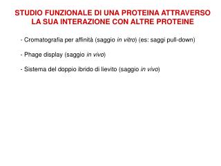 STUDIO FUNZIONALE DI UNA PROTEINA ATTRAVERSO LA SUA INTERAZIONE CON ALTRE PROTEINE