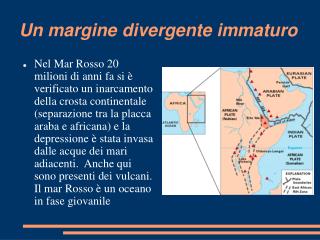 Un margine divergente immaturo