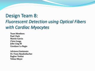 Design Team 8: Fluorescent Detection using Optical Fibers with Cardiac Myocytes