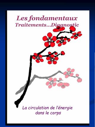 Les fondamentaux Traitements…Diagnostic