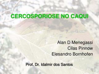 CERCOSPORIOSE NO CAQUI