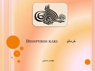 Diospyros kaki خرمالو