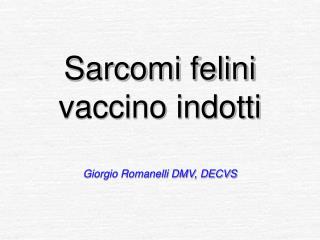 Sarcomi felini vaccino indotti