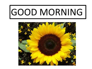 GOOD MORNING