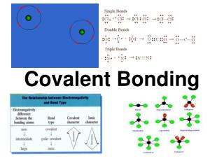 PPT - Covalent Bonding PowerPoint Presentation, free download - ID:4132371