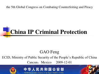 China IP Criminal Protection