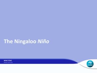 The Ningaloo Niño