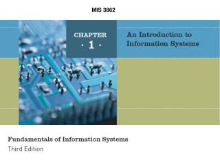MIS 3862