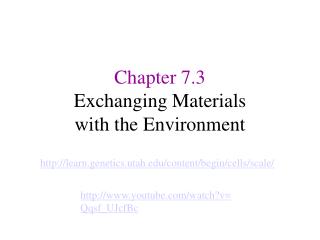 Chapter 7.3 Exchanging Materials with the Environment