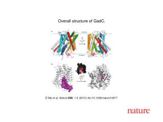 D Ma et al . Nature 000 , 1 - 5 (2012) doi:10.1038/nature10917