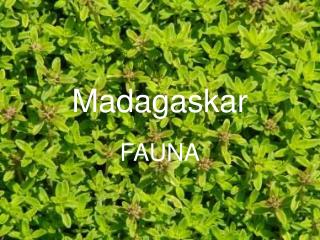 Madagaskar
