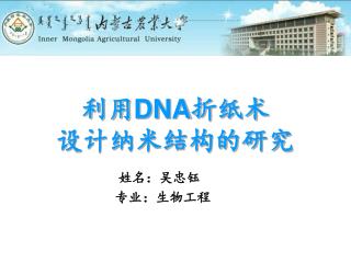 姓名：吴忠钰 专业：生物工程