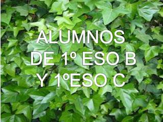 ALUMNOS DE 1º ESO B Y 1ºESO C