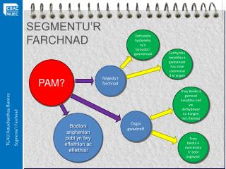 SEGMENTU’R FARCHNAD