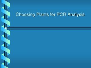 Choosing Plants for PCR Analysis