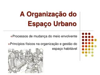 A Organização do Espaço Urbano