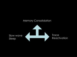 Memory Consolidation