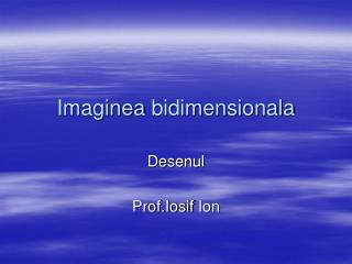 Imaginea bidimensionala