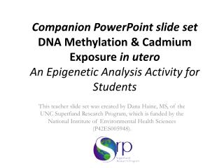 1) Changes to DNA Methylation leads to gene silencing