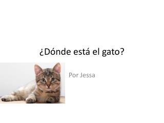 ¿ D ó nde est á el gato ?