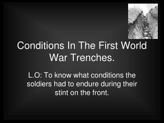 Conditions In The First World War Trenches.