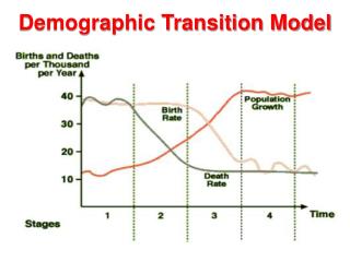 Demographic Transition Model