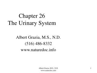 Chapter 26 The Urinary System