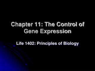 Chapter 11: The Control of Gene Expression