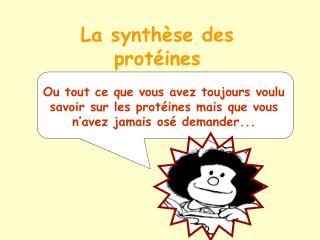 La synthèse des protéines