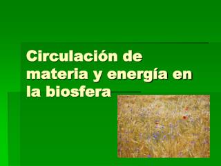 Circulación de materia y energía en la biosfera