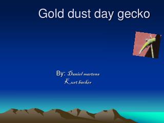 Gold dust day gecko