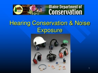 Hearing Conservation & Noise Exposure