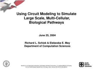 Using Circuit Modeling to Simulate Large Scale, Multi-Cellular, Biological Pathways