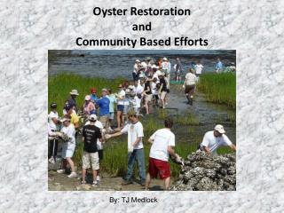 Oyster Restoration and Community Based Efforts
