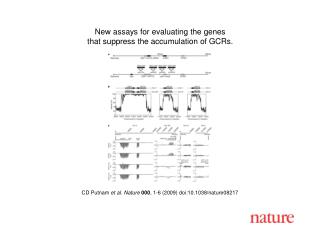 CD Putnam et al. Nature 000 , 1 - 6 (2009) doi:10.1038/nature08 217