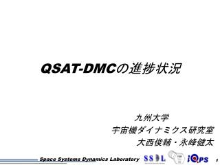 QSAT-DMC の進捗状況