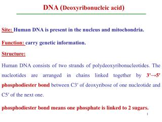 DNA ( Deoxyribonucleic acid )