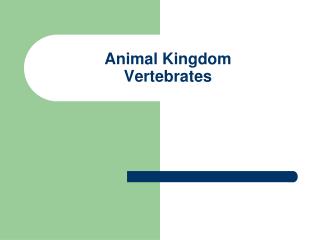 Animal Kingdom Vertebrates