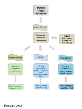 Human Tissue Authority