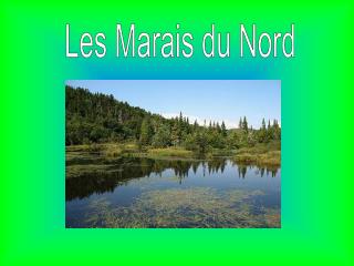 Les Marais du Nord