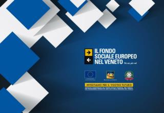 Verso il POR FSE 2014-2020 Consiglio Regionale del Veneto Commissione Relazioni Internazionali