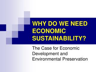 WHY DO WE NEED ECONOMIC SUSTAINABILITY?