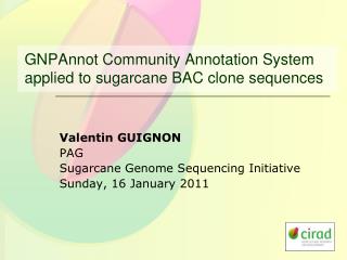 GNPAnnot Community Annotation System applied to sugarcane BAC clone sequences