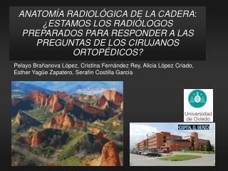 ANATOMÍA RADIOLÓGICA DE LA CADERA : ¿ESTAMOS LOS RADIÓLOGOS PREPARADOS PARA RESPONDER A LAS PREGUNTAS DE LOS CIRUJANOS