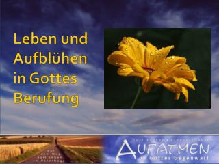 Leben und Aufblühen in Gottes Berufung