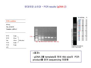 PCR condition